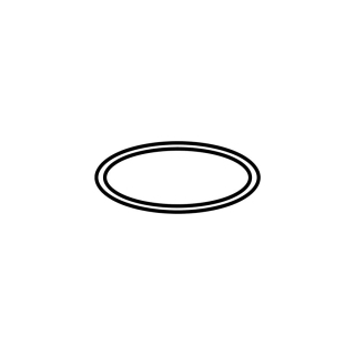 O-Ring, zu Schwenkauslauf Einlochmischer Neodomo (600.929)