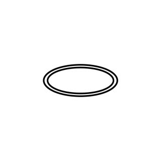 O-Ring, zu Schwenkauslauf Einlochmischer Neodomo (600.929)