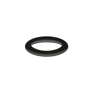 O-Ring Innen-D. 16,9 x 2,7 mm 10 Stück (78 6130 90)