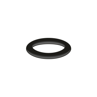 O-Ring Innen-D. 17,17 x 2,62 mm 10 Stück (78 6100 90)