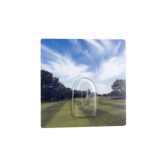 DIAQUA Flexi Powerhaken Golfplatz 8 X 8 CM 1 STK/PC